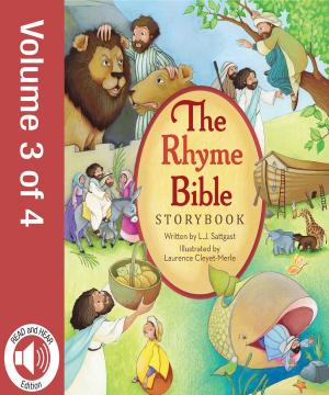 Cover of the book The Rhyme Bible Storybook, Vol. 3 by Jeanna Young, Jacqueline Kinney Johnson