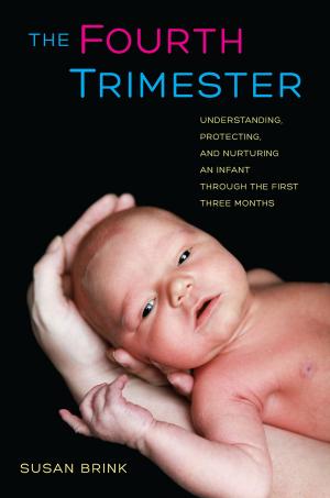 Cover of the book The Fourth Trimester by Maureen F Fitzgerald