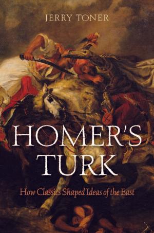 Cover of the book Homer's Turk by Amy Gajda