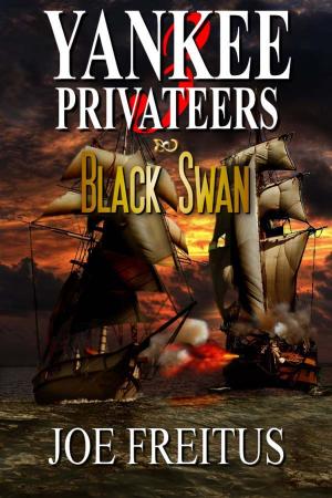 Cover of the book Yankee Privateers: Black Swan by Wendy Lindstrom