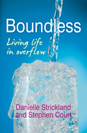 Cover of the book Boundless by Al Danks