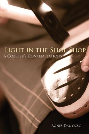 Cover of Light in the Shoe Shop