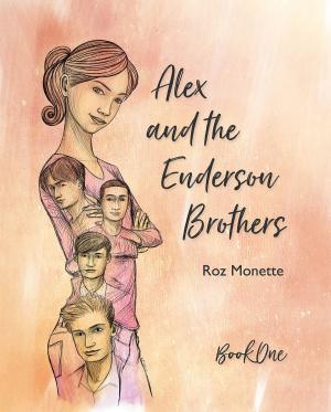 Book cover of Alex and the Enderson Brothers