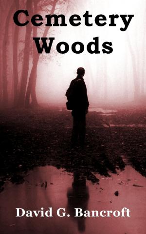 Cover of the book Cemetery Woods by Denise Blake
