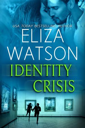 Cover of the book Identity Crisis by Cara Putman