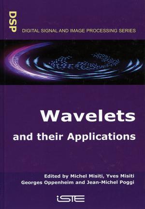 Cover of the book Wavelets and their Applications by Shi-Qing Wang