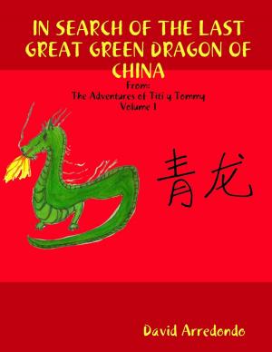 Cover of In Search of the Last Great Green Dragon of China: Volume 1: The Adventures of Titi y Tommy