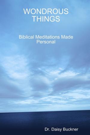 Cover of the book Wondrous Things: Biblical Meditations Made Personal by Rachel Bryant, Malibu Publishing