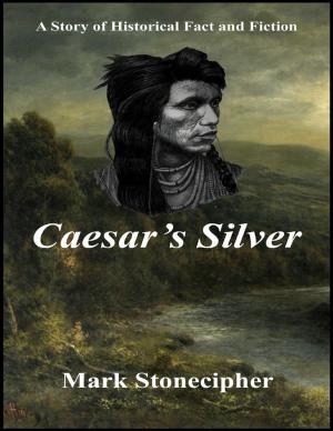 Cover of the book Caesar's Silver by Virinia Downham