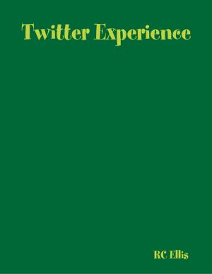 Cover of the book Twitter Experience by Daniel Blue