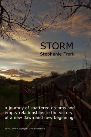 Cover of the book Storm by Hedley Derenzie