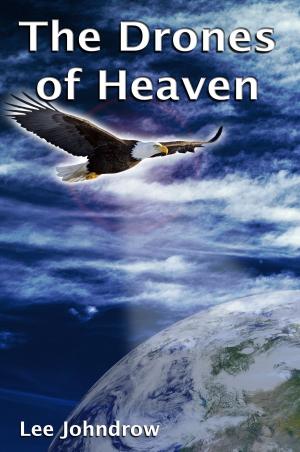 Cover of the book The Drones Of Heaven by Rick Hoover