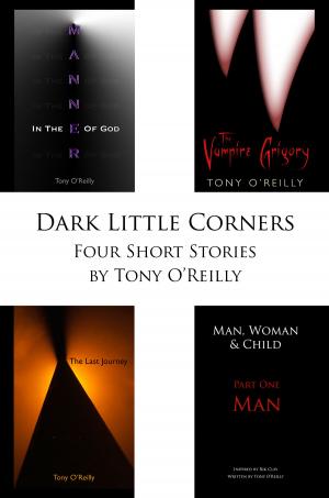 Cover of the book Dark Little Corners by Judy Teel