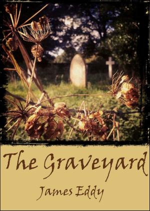 Cover of the book The Graveyard by James Eddy