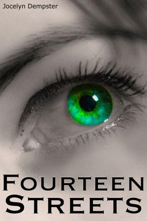 bigCover of the book Fourteen Streets by 