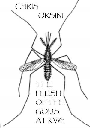 Cover of The Flesh of the Gods at Kv62