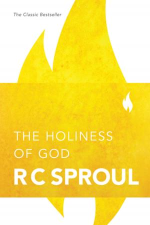 bigCover of the book The Holiness of God by 