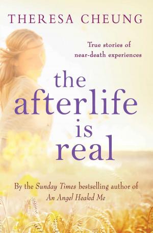 Cover of the book The Afterlife is Real by Alastair Massie