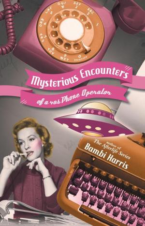 Cover of the book Mysterious Encounters of a 40S Phone Operator by Alan Gilbert