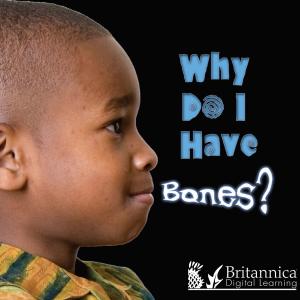 Book cover of Why Do I Have Bones?