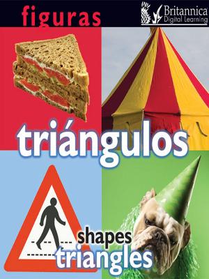 Cover of the book Figuras: Triángulos (Triangles) by Lynn Stone