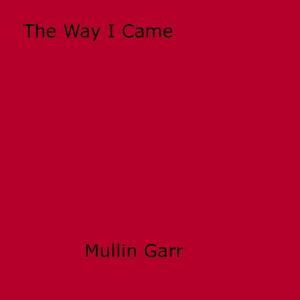 Cover of the book The Way I Came by Willie Letterin