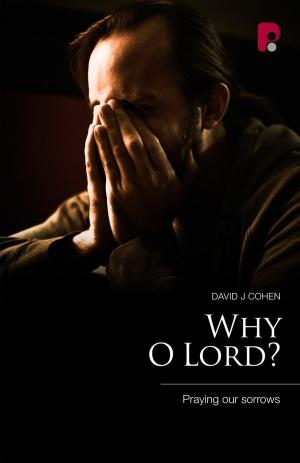Cover of the book Why O Lord? by Simon Holley