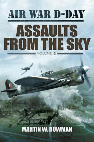 Cover of the book Assaults From the Sky by Carole McEntee-Taylor