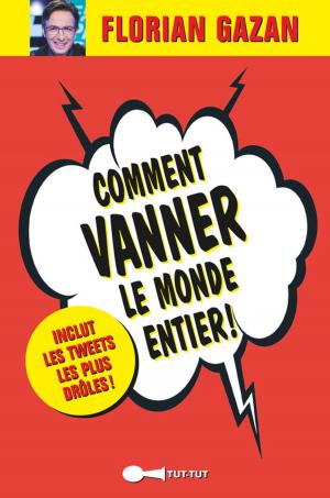 Cover of the book Comment vanner le monde entier ! by Marie Thuillier, Marie-Pascale Anseaume