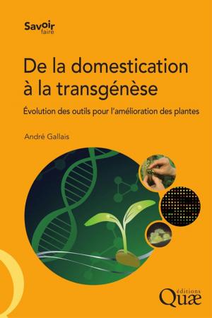 Cover of the book De la domestication à la transgénèse by Isabelle Chaillet, Marie-Hélène Jeuffroy, Nathalie Munier-Jolain, Jérémie Lecoeur, Véronique Biarnès