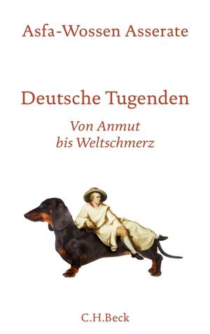 Cover of the book Deutsche Tugenden by Brendan Simms, Benjamin Zeeb