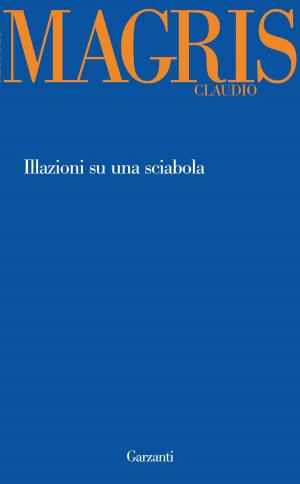 Book cover of Illazioni su una sciabola