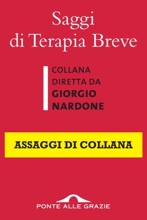 Cover of the book Saggi di Terapia Breve by Paolo Cucchiarelli