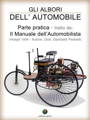 Book cover of Gli albori dell’Automobile - Parte pratica