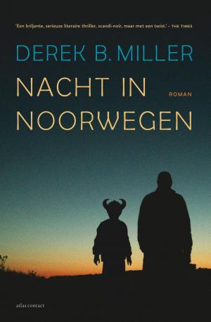 Book cover of Nacht in Noorwegen