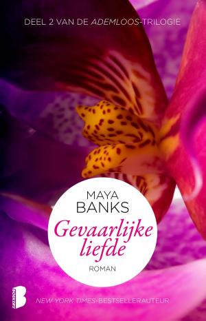Cover of the book Gevaarlijke liefde by Maeve Binchy