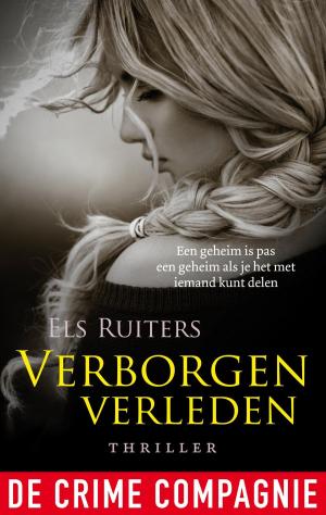 Book cover of Verborgen verleden