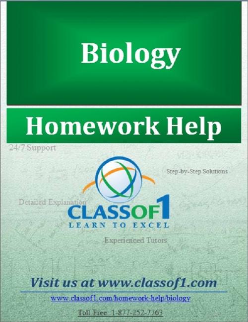 Cover of the book Microbiology Virus and Fungi by Homework Help Classof1, Classof1