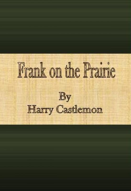 Cover of the book Frank on the Prairie by Harry Castlemon, cbook