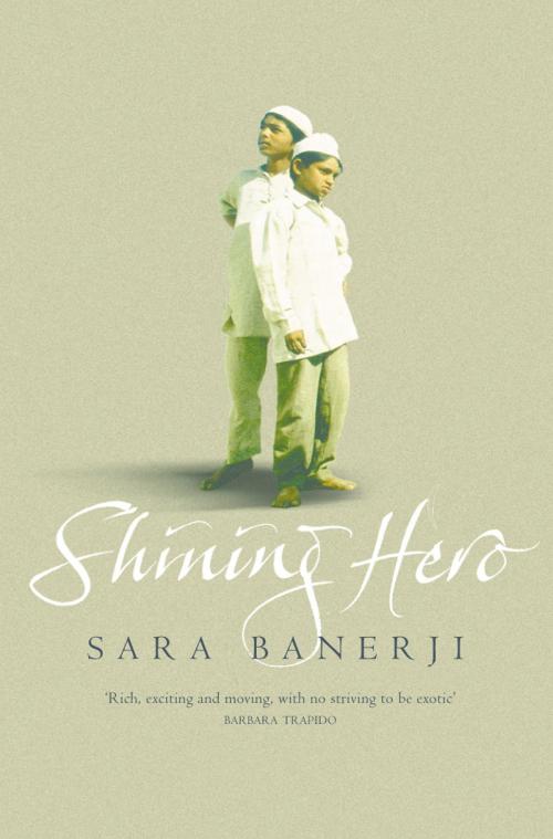 Cover of the book Shining Hero by Sara Banerji, HarperCollins Publishers