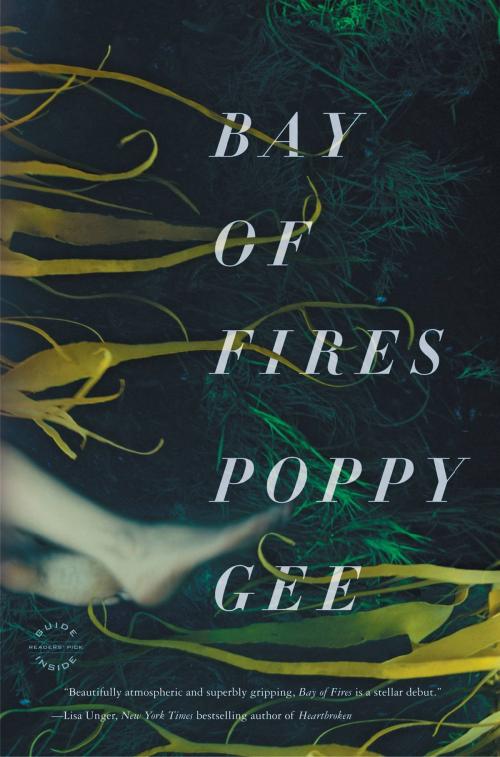 Cover of the book Bay of Fires by Poppy Gee, Little, Brown and Company