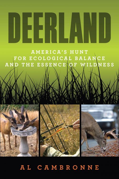 Cover of the book Deerland by Al Cambronne, Lyons Press