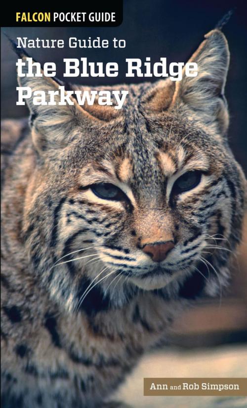 Cover of the book Nature Guide to the Blue Ridge Parkway by Ann Simpson, Rob Simpson, Falcon Guides