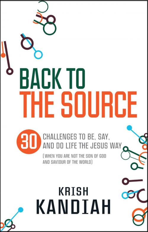 Cover of the book Back to the Source by Dr Krish Kandiah, Miriam Kandiah, Lion Hudson LTD