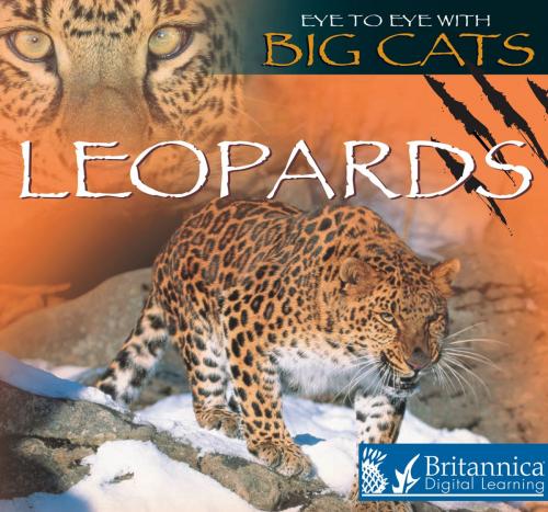 Cover of the book Leopards by Jason Cooper, Britannica Digital Learning