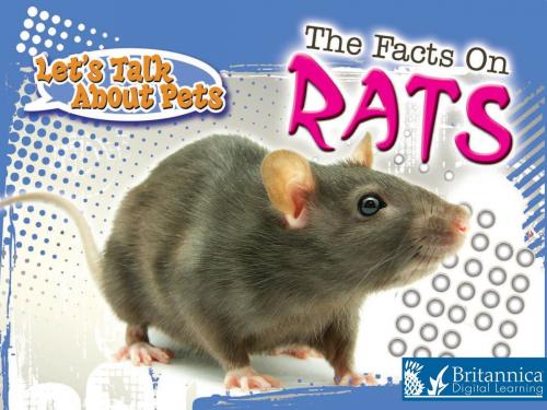 Cover of the book The Facts on Rats by David and Patricia Armentrout, Britannica Digital Learning