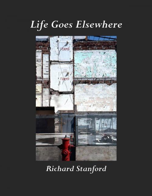 Cover of the book Life Goes Elsewhere by Richard Stanford, Lulu.com