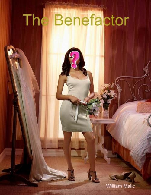 Cover of the book The Benefactor by William Malic, Lulu.com