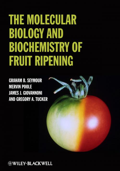 Cover of the book The Molecular Biology and Biochemistry of Fruit Ripening by Graham Seymour, Gregory A. Tucker, Mervin Poole, James Giovannoni, Wiley