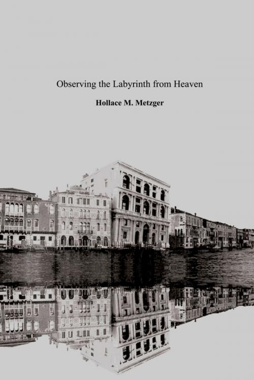 Cover of the book Observing the Labyrinth from Heaven by Hollace M. Metzger, Lulu.com